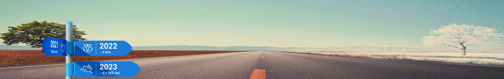 PHP 常用函数大全